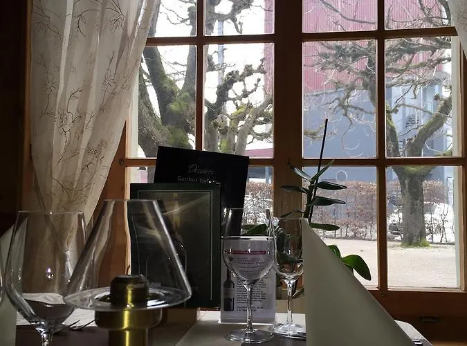 Gasthof Tiefenau Берн